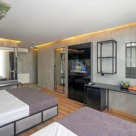 Continental Airport Bed & Breakfast 3*